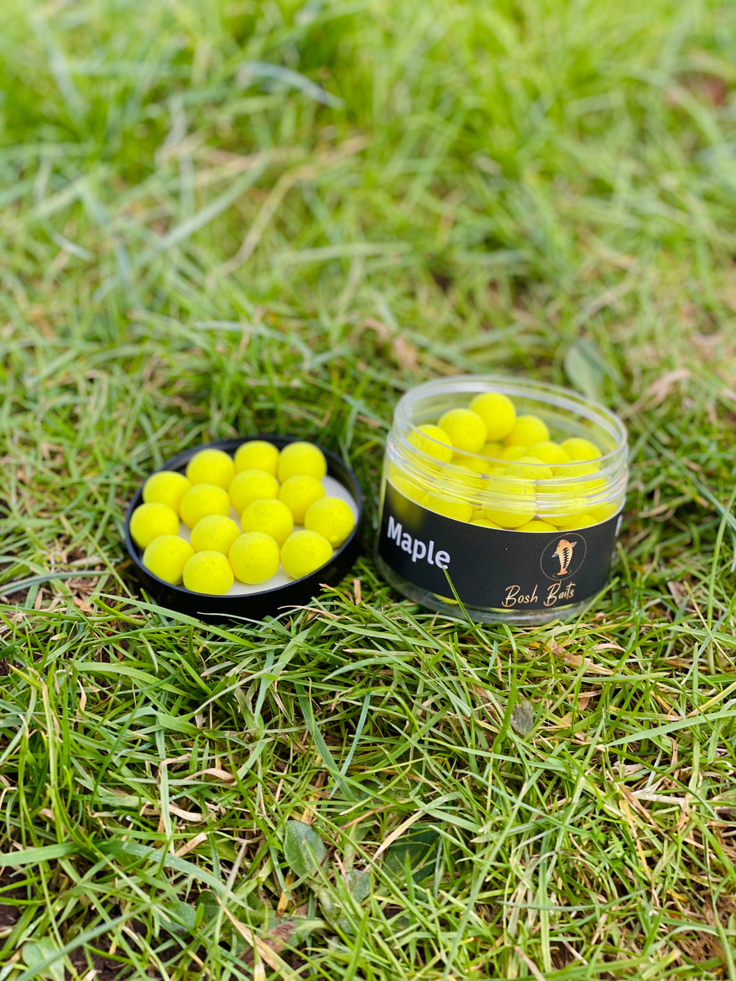 Maple Pop Ups - Fluro Yellow