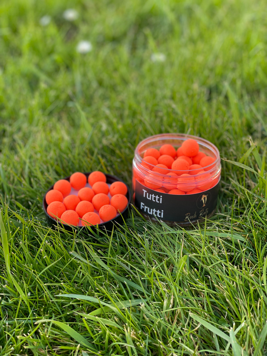 Tutti Frutti Pop Ups - Fluro Orange